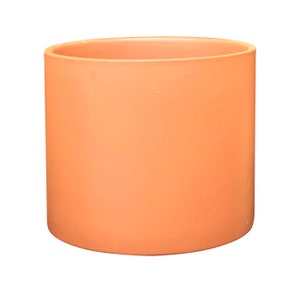 May include: A terracotta-colored cylindrical planter with a smooth, slightly textured surface.