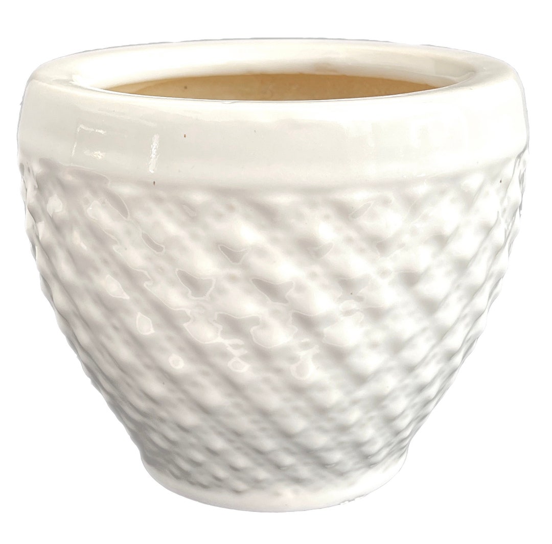 Rimmed Daisydot Ceramic Pot Planter Etsy