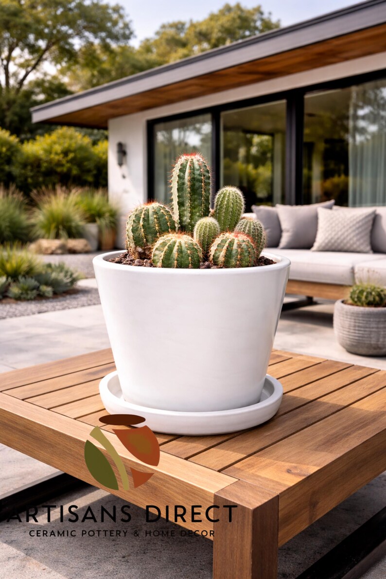 May include: A white ceramic planter filled with various cacti sits on a wooden table. The cacti have green bodies and red spines. The planter is on a matching white saucer. The image includes the text "ARTISANS DIRECT CERAMIC POTTERY & HOME DECOR."