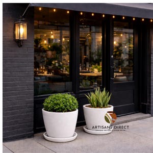 May include: Two white ceramic planters with matching saucers, each holding greenery. One has a rounded, bushy plant, and the other features tall, pointed leaves. The planters are in front of a black door and brick wall.