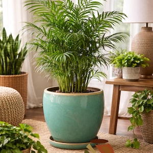 Contemporary Large Ceramic Planter - Indoor Outdoor Pots | Speckled Glaze | Drainage Hole|DECORA MASON Collection | Blue | Moss Green | Aqua