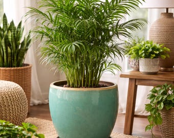 Contemporary Large Ceramic Planter - Indoor Outdoor Pots | Speckled Glaze | Drainage Hole|DECORA MASON Collection | Blue | Moss Green | Aqua