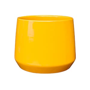 May include: A bright yellow ceramic planter with a rounded, slightly flared top and a wide base.