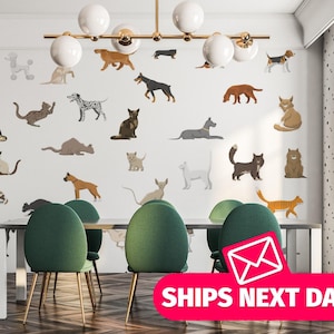 Cat wallpaper mural / Dog Mural, Peel and Stick Removable Vinyl or Fabric, Non-pasted Wallpaper / Pets wallpaper mural
