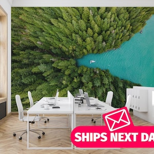 Lake / Forest Mural, Peel and Stick Removable Vinyl or Fabric, Non-pasted Wallpaper