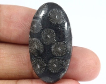 43x27x6 MM Oval Cabochon 55 CTS Beautiful Scenic Cabochons Black Fossil Coral #A-516