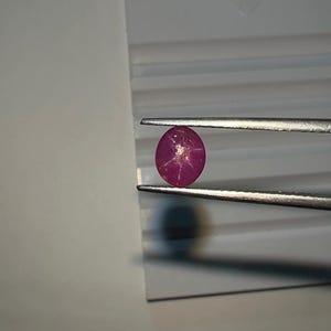 May include: A deep red, oval-shaped gemstone held by tweezers. The gem has a star-like pattern within its polished surface. The tweezers are silver-colored, and the background is a light gray.