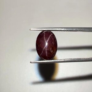 May include: A polished, oval-shaped, deep burgundy gemstone with a star-like pattern, held by tweezers. The star effect is created by intersecting lines of light across the stone's surface. This gemstone would make a unique piece of jewellery.