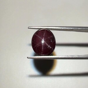 May include: A polished, oval-shaped, dark red gemstone with a six-ray star effect. The gem is held by silver tweezers against a light grey background. The star effect is visible across the surface of the stone.