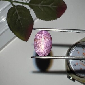 May include: An oval-shaped, translucent pink gemstone with a visible star-like optical effect, held by metal tweezers next to a dial caliper. The stone displays internal inclusions and a light-reflecting pattern across its smooth, polished surface.