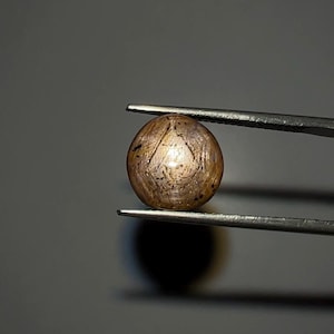 Op de afbeelding: Een ronde, gepolijste edelsteen die door een pincet wordt vastgehouden. De edelsteen heeft een warme, bruine kleur met interne patronen en een subtiele glans. De pincet is zilverkleurig en de achtergrond is neutraal grijs.