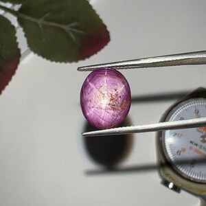 May include: A polished oval-shaped pink star sapphire gemstone held by metal tweezers. The stone displays a distinct six-rayed star effect across its surface. A portion of a metal dial caliper is visible in the background for scale.