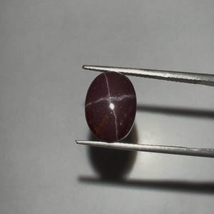 Op de afbeelding: Een gepolijste, ovaalvormige edelsteen, vastgehouden door een pincet. De edelsteen heeft een diepe bordeauxrode kleur met een vierstralig sterpatroon over het oppervlak. Het gladde, reflecterende oppervlak vangt het licht op.