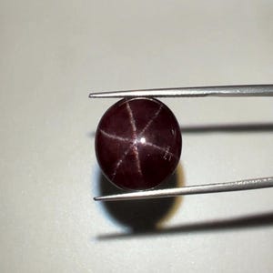 May include: A polished, oval-shaped, dark red gemstone with a six-rayed star pattern. The gem is held by silver tweezers against a light grey background. The star effect is created by light reflecting off inclusions within the stone.