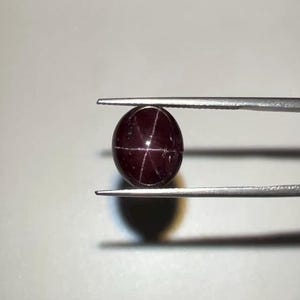 May include: A deep red, oval gemstone held by tweezers. The gem has a star-like pattern across its surface. The stone is a dark burgundy colour, with a polished, reflective surface. The tweezers are silver.