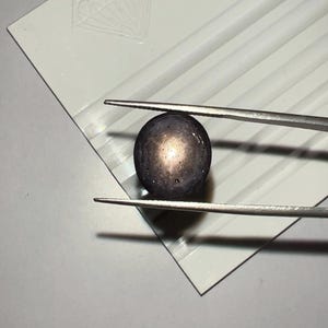 May include: A dark, round gemstone held by tweezers against a white surface. The gem has a speckled appearance with a central, lighter-coloured area. The white surface has a diamond-shaped design.