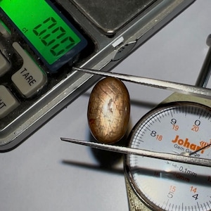 May include: A polished, oval-shaped gemstone held by tweezers, next to a gem gauge and a digital scale displaying 0.00 ct. The gemstone has a warm, brown color with internal patterns. The gem gauge shows measurements in millimeters.