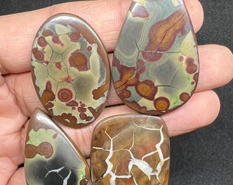 May include: Four polished gemstones in various shapes: oval, teardrop, and square. The stones feature a mix of brown, green, and reddish-brown colors with unique crackle patterns. The gemstones are held in a hand against a dark background.