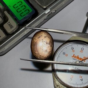 May include: A close-up of a brown and iridescent gemstone being measured with a gem gauge. The gauge reads 14mm. The gemstone is being held by tweezers.