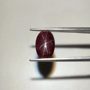 May include: A polished, oval-shaped, dark red gemstone with a six-rayed star pattern. The gem is held by silver tweezers against a neutral background. The gem's surface reflects light, highlighting the star effect.
