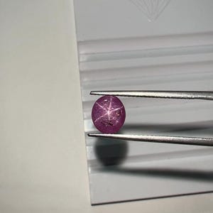May include: A polished, oval-shaped, purplish-red star ruby gemstone is held by tweezers. The gemstone displays a six-rayed star pattern across its surface. The ruby is set against a white background.