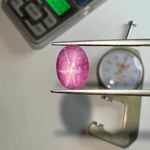 May include: A vibrant, oval-shaped, star ruby gemstone held by tweezers. The ruby is a deep pink color with a star-like effect visible on its surface. A digital scale and a measuring gauge are in the background, suggesting the gem's weight and dimensions are being assessed.