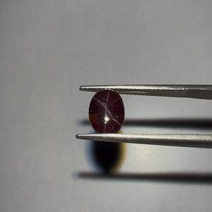 以下が含まれることがあります： ピンセットで挟まれた、星のような模様のダークレッドの楕円形の宝石。 宝石は研磨された表面と深く豊かな色をしています。 ピンセットは銀色で、背景はニュートラルグレーです。