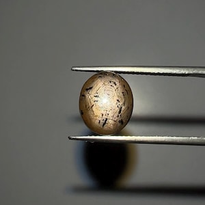 Op de afbeelding: Een goudbruine, ovale edelsteen met donkere insluitsels wordt vastgehouden door een zilveren pincet. De edelsteen heeft een gepolijst oppervlak en een uniek patroon. De achtergrond is effen, neutraal grijs.