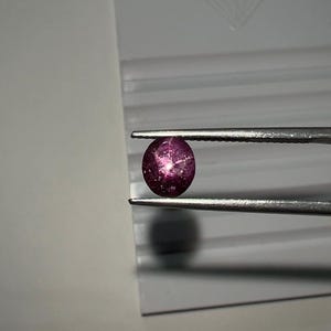 May include: A polished, oval-shaped, deep pink gemstone with a star-like effect, held by tweezers. The gem has a speckled appearance and is set against a white background. The tweezers are silver in color.