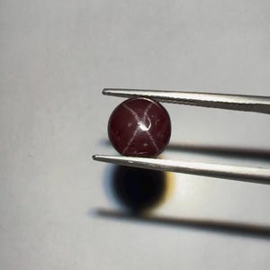 May include: A polished, round, dark red gemstone with a star effect, held by silver tweezers. The gem's colour is a deep red. The tweezers are set against a light grey background. The gem is likely a cabochon.