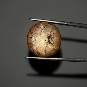 May include: A circular gemstone, held by tweezers. The gem is a warm, golden-brown colour with dark inclusions and a reflective surface. The tweezers are silver, and the background is a dark grey.