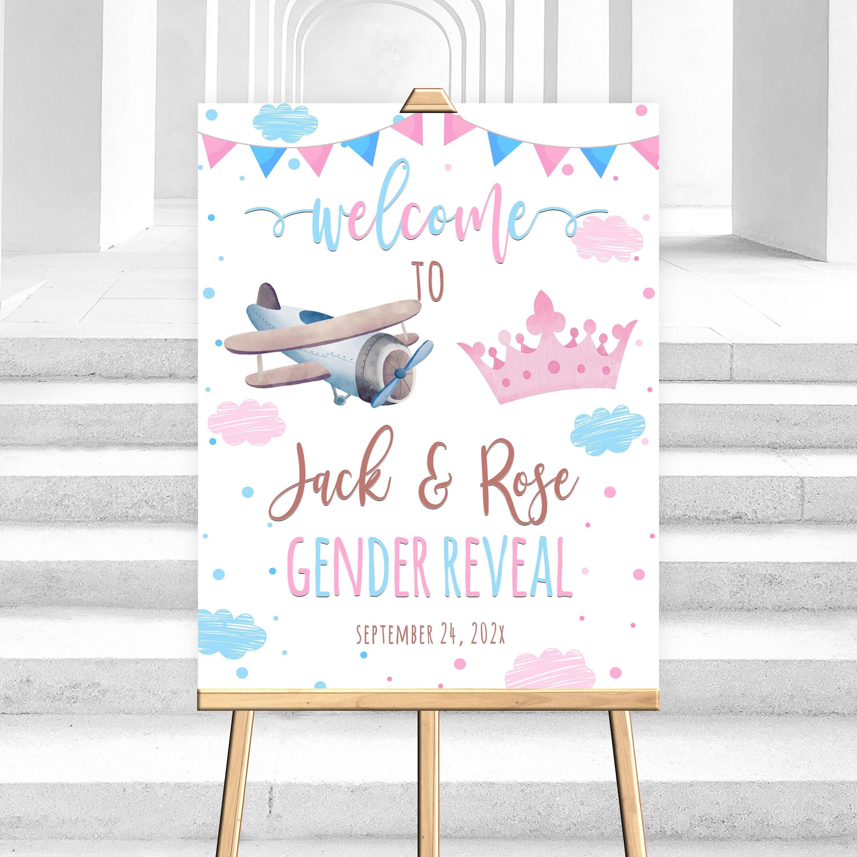 Pilot or Princess Gender Reveal Welcome Sign: Pink & Blue (Digital Template)