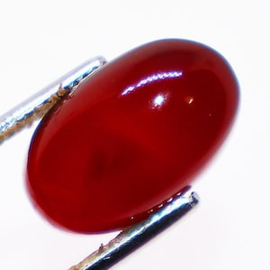 Könnte beinhalten: Ein glatter, oval geformter, tiefroter Edelstein mit einer polierten, reflektierenden Oberfläche. Der Stein wird von einem silberfarbenen Metallwerkzeug mit zwei Zinken gehalten, die die oberen und unteren Kanten des Cabochons greifen.