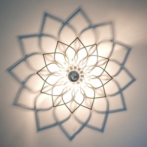 Wall lamp, ceiling lamp, flower