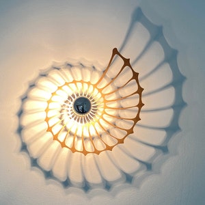 modern wall lamp, nautilus, snail shell, fossil image 1