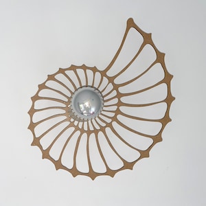 modern wall lamp, nautilus, snail shell, fossil image 4