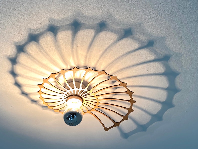 modern wall lamp, nautilus, snail shell, fossil image 2