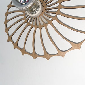 modern wall lamp, nautilus, snail shell, fossil image 5