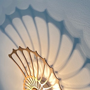 modern wall lamp, nautilus, snail shell, fossil image 3