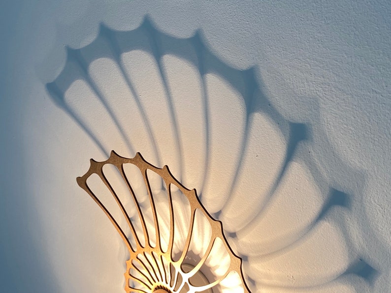 modern wall lamp, nautilus, snail shell, fossil image 3