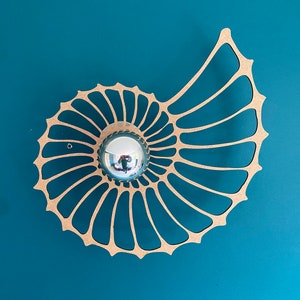 modern wall lamp, nautilus, snail shell, fossil image 10