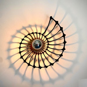 Nautilus, wood, wall light with shadow, ceiling light