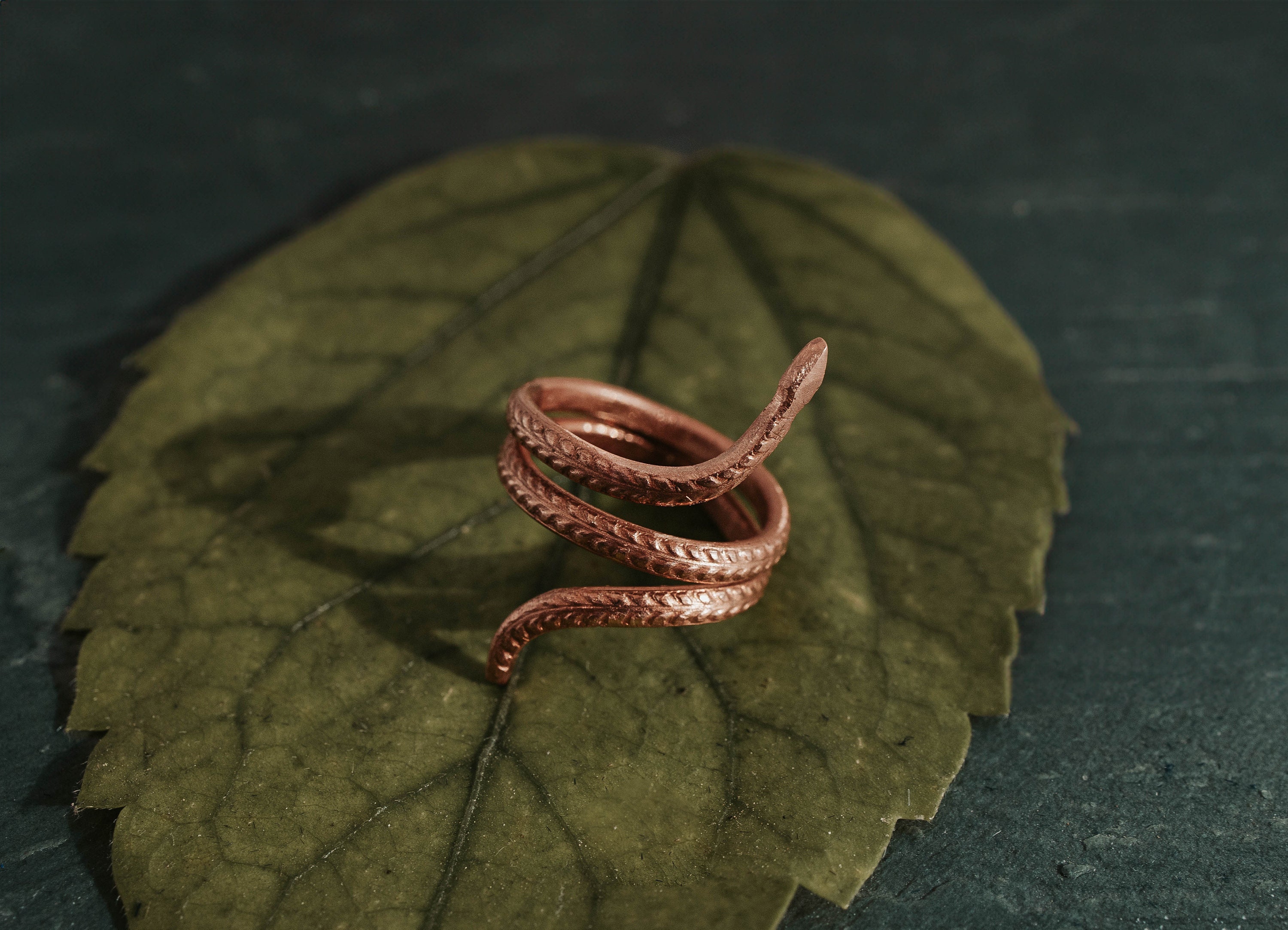Isha Consecrated Silver Snake Ring / Sarpasutra – Yogis
