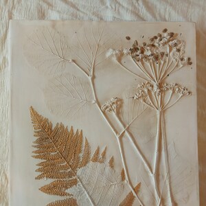 botanical
