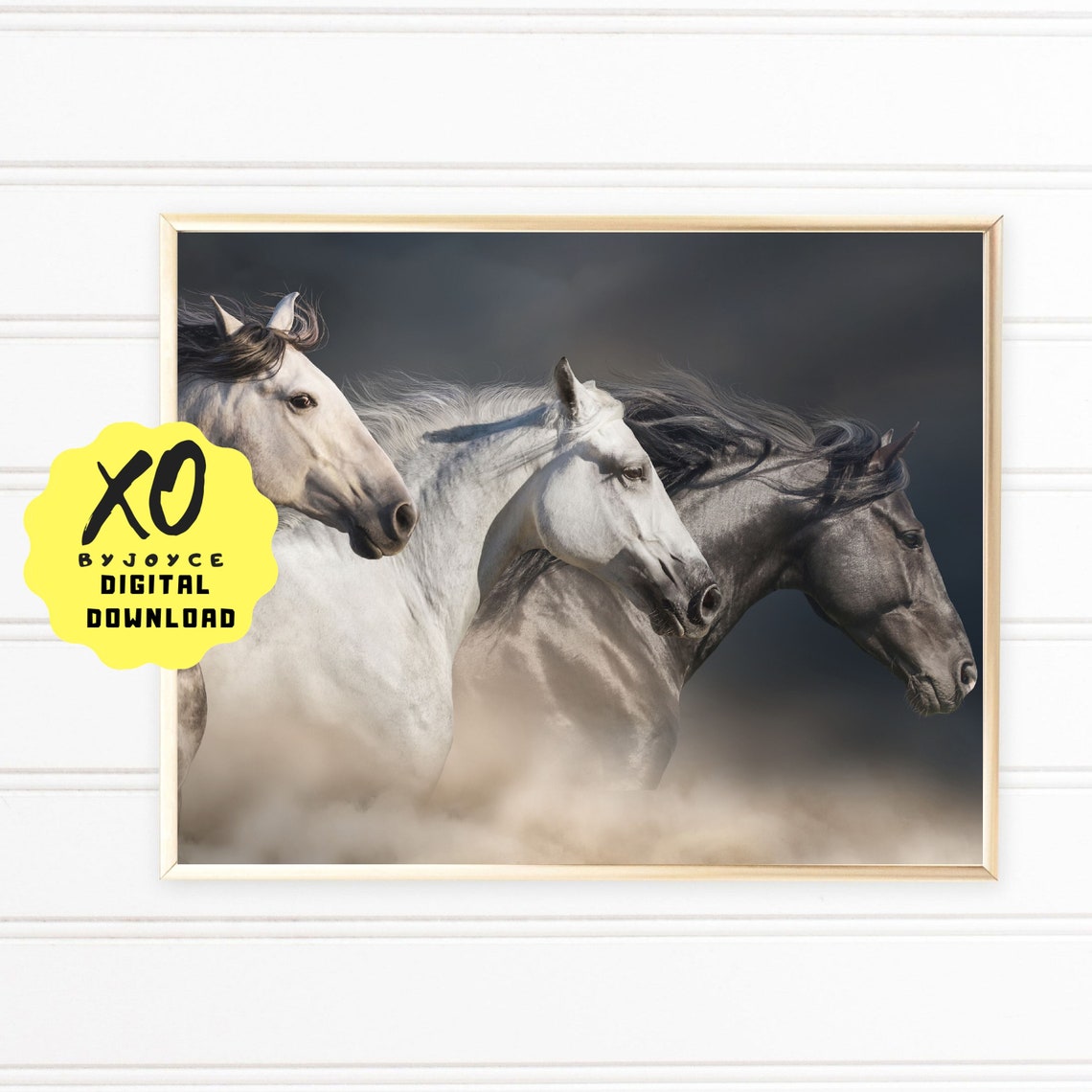 Horse Wall Art Print Photo Black and White Digital Etsy