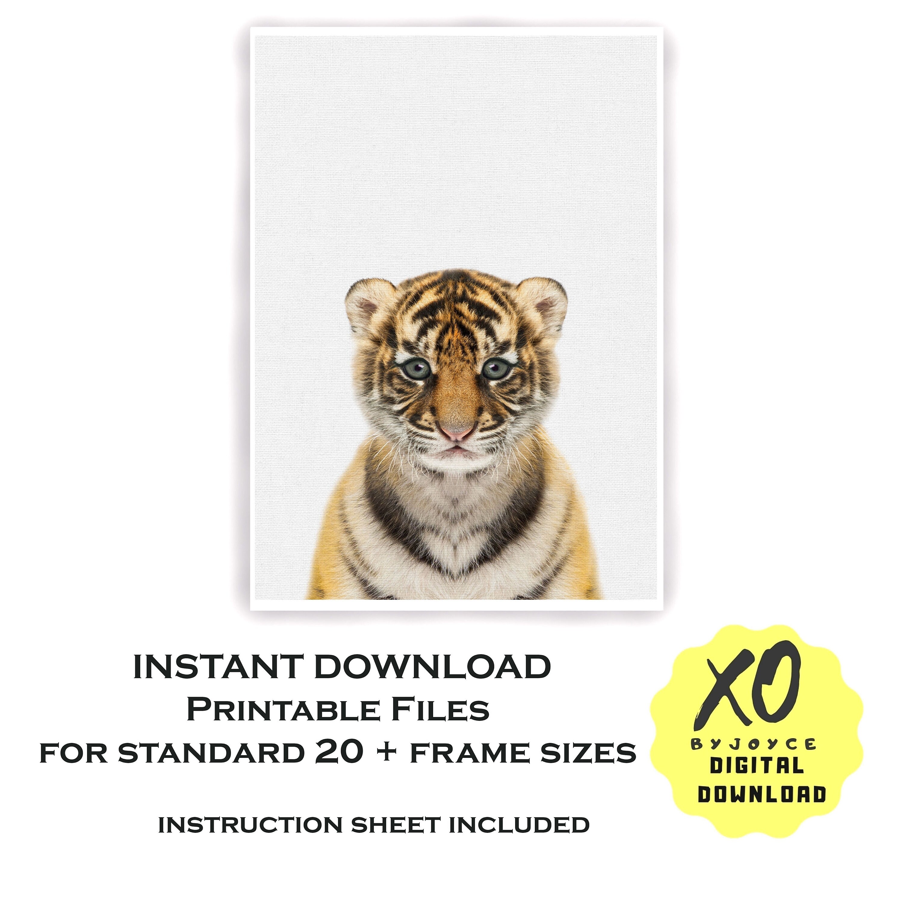 Baby Tiger Cub Print Tiger Cub Printable Jungle Nursery - Etsy France