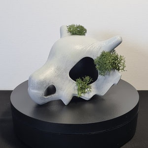 Handpainted Cubone Skull