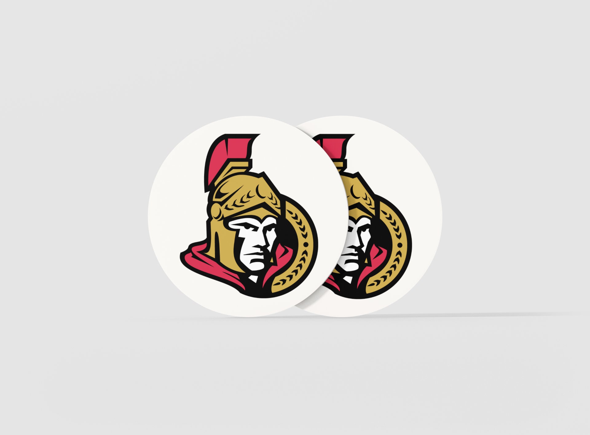 NHL Ottawa Senators 3D Hoodie Zip Hoodie For Fans Sport Team