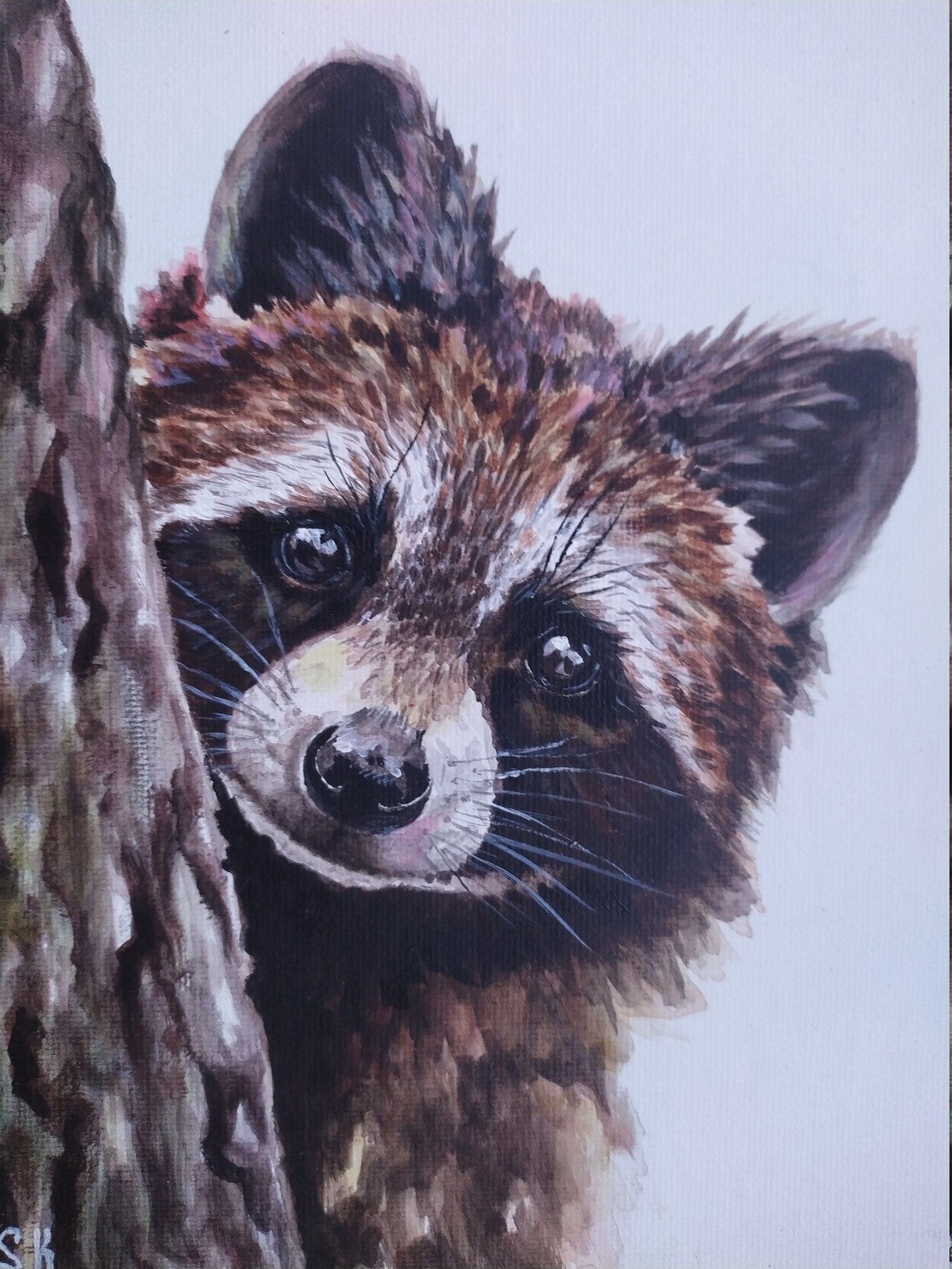 Raccoon Original acrylic painting Hand painted Animal Etsy