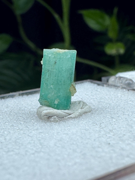 Emerald~Hiddenite, North Carolina~Ledford’s Minerals